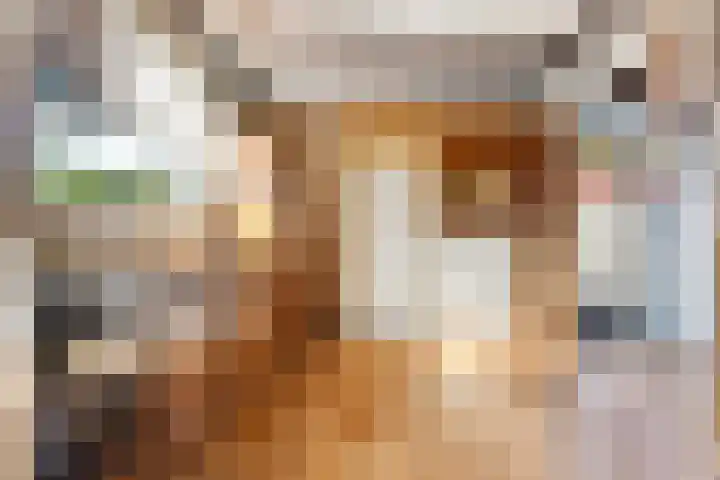 Gildenstraat 12 Bergen L thumbnail 4