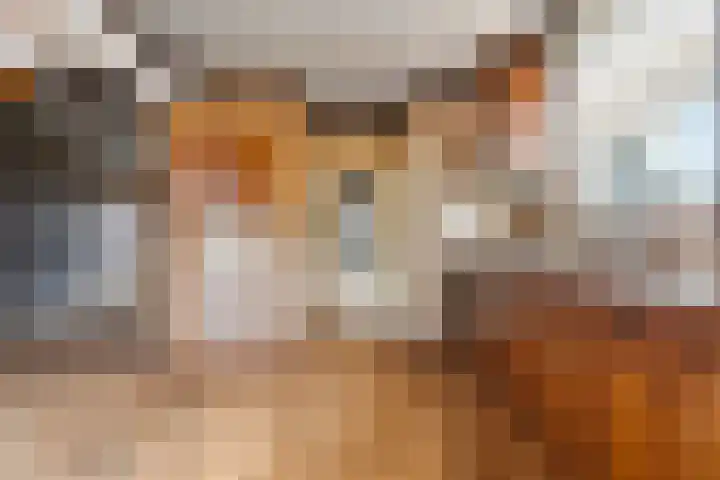 Gildenstraat 12 Bergen L thumbnail 5