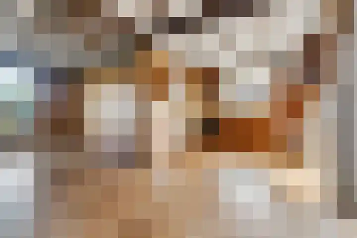 Gildenstraat 12 Bergen L thumbnail 6