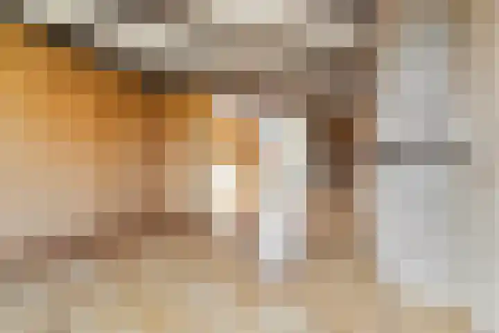 Gildenstraat 12 Bergen L thumbnail 8