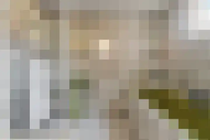 Gildenstraat 12 Bergen L thumbnail 9