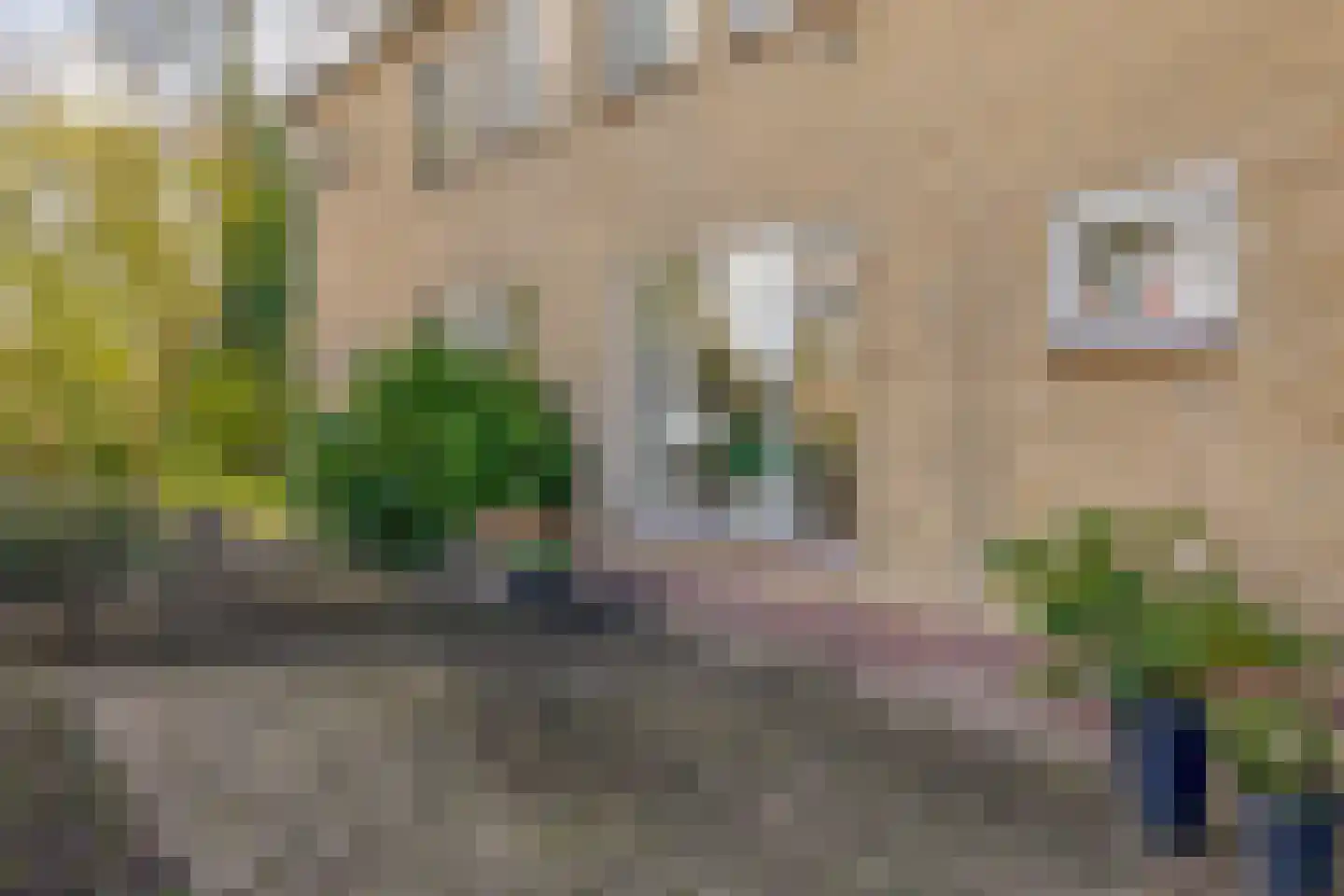 Gildenstraat 4 Nijkerk thumbnail 34