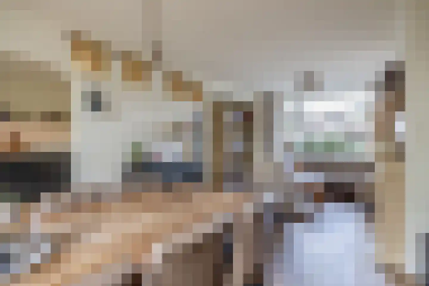 Gildenstraat 4 Nijkerk thumbnail 9