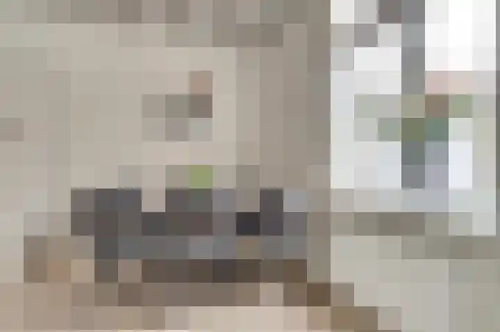 Gildenstraat 5 Tholen thumbnail 13
