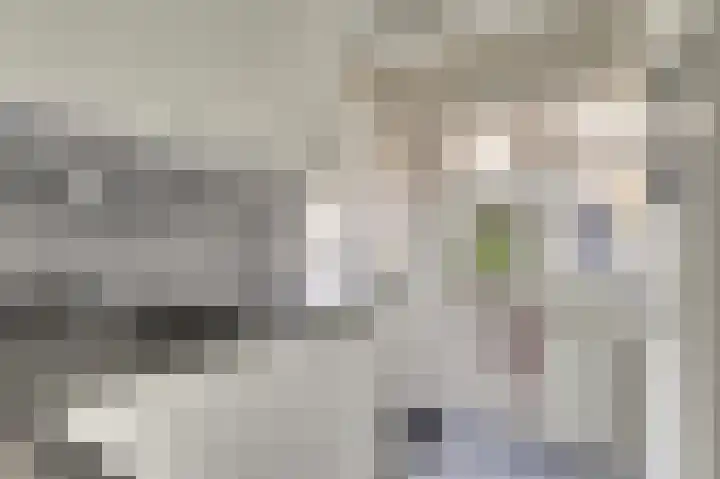 Gildenstraat 5 Tholen thumbnail 15
