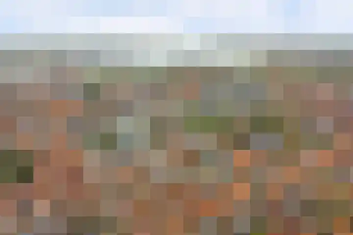 Gildenstraat 5 Tholen thumbnail 37