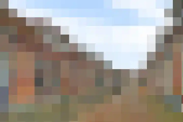 Gildenstraat 5 Tholen thumbnail 4