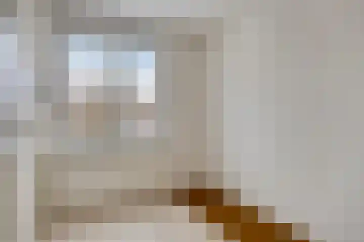 Gildenstraat 9 Budel thumbnail 22