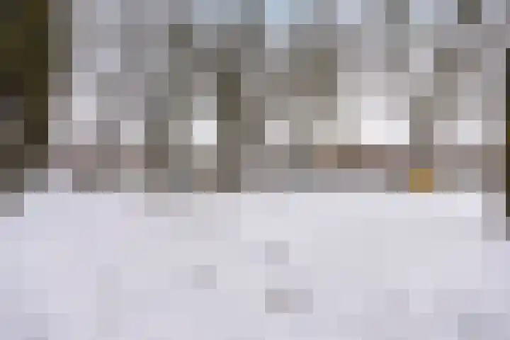 Gildenstraat 9 Budel thumbnail 5