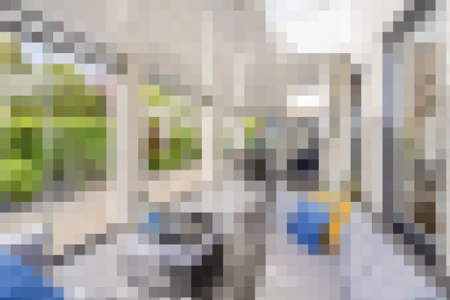 Gildenveld 9 Zeewolde thumbnail 36