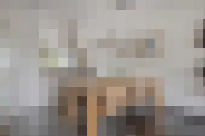 Gildeplein 21 Lierop thumbnail 12