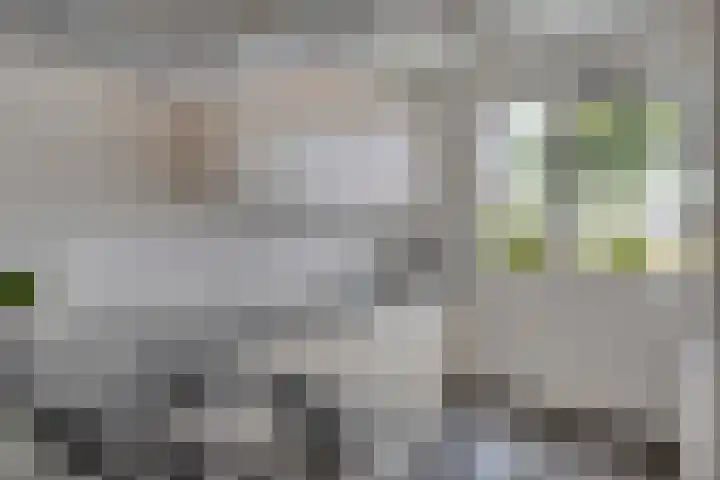 Gildeplein 21 Lierop thumbnail 15