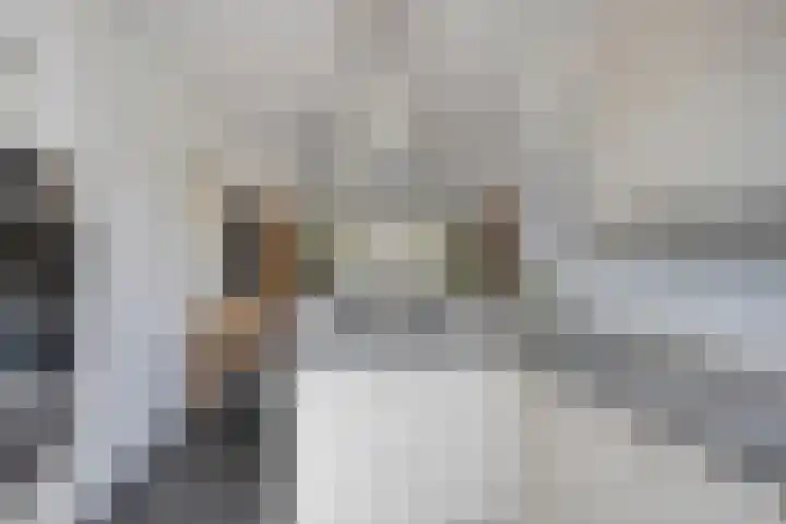 Gildeplein 21 Lierop thumbnail 16