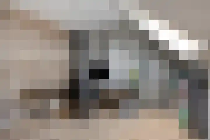 Gildeplein 21 Lierop thumbnail 27