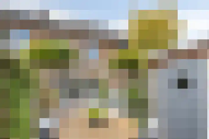 Gildeplein 21 Lierop thumbnail 4