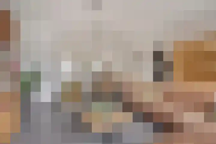Gildeplein 21 Lierop thumbnail 9
