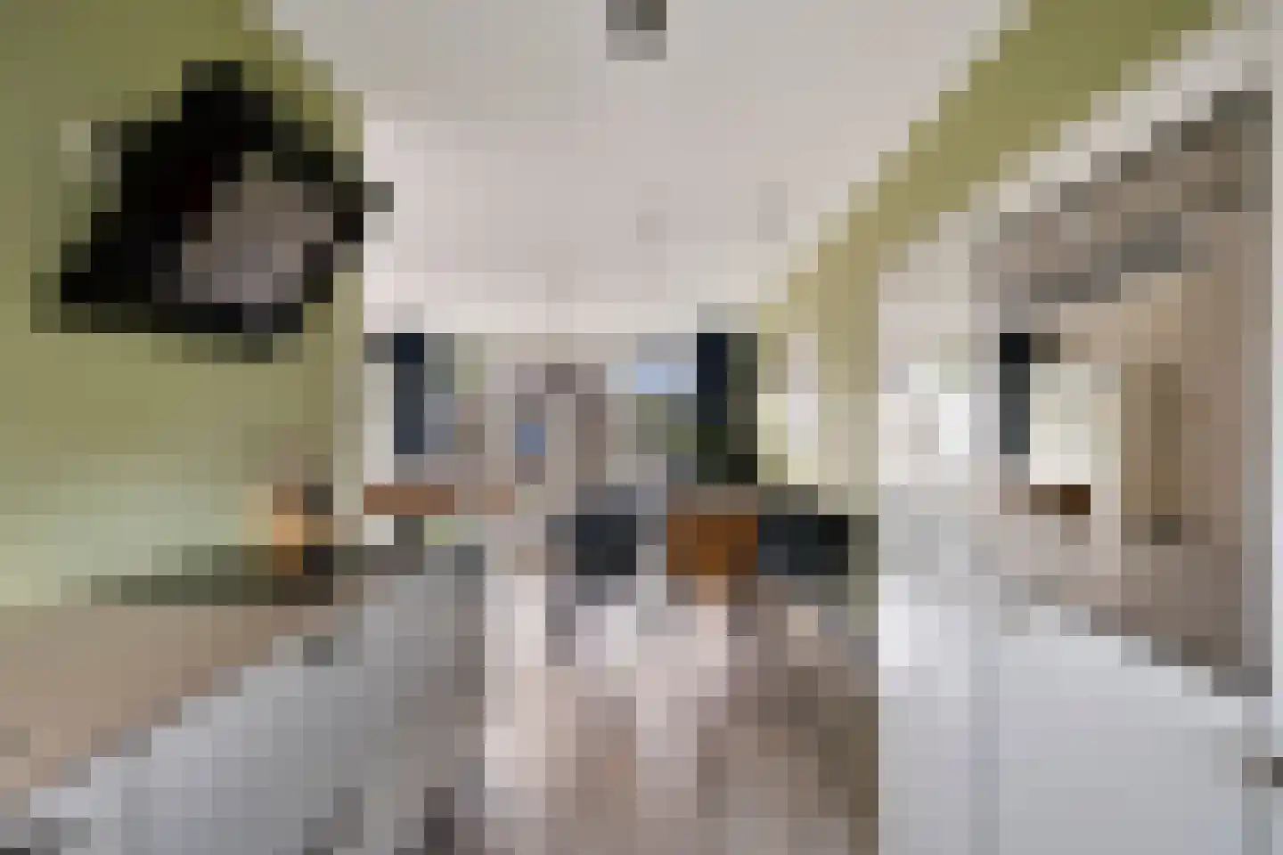 Gildeplein 23 Lierop thumbnail 16