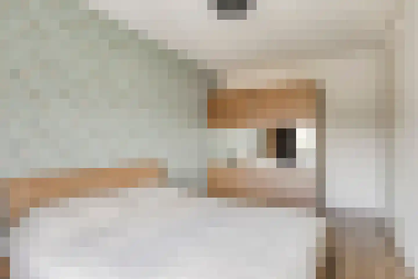 Gildeplein 23 Lierop thumbnail 20