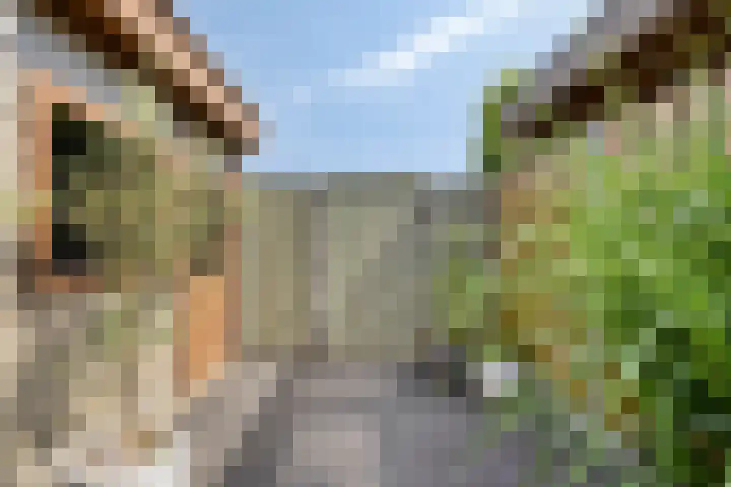 Gildeplein 23 Lierop thumbnail 35