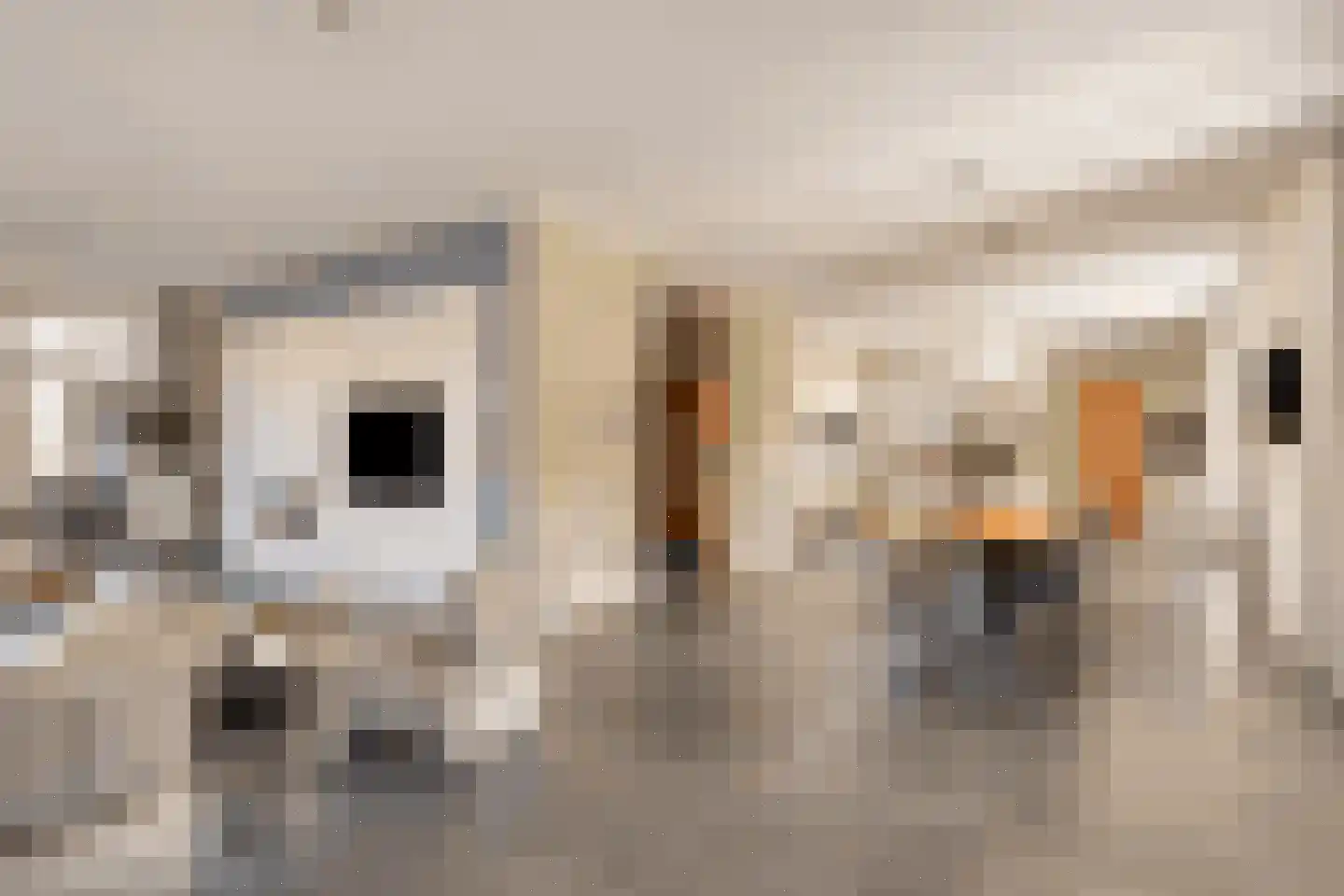Gildeplein 5 Niftrik thumbnail 14