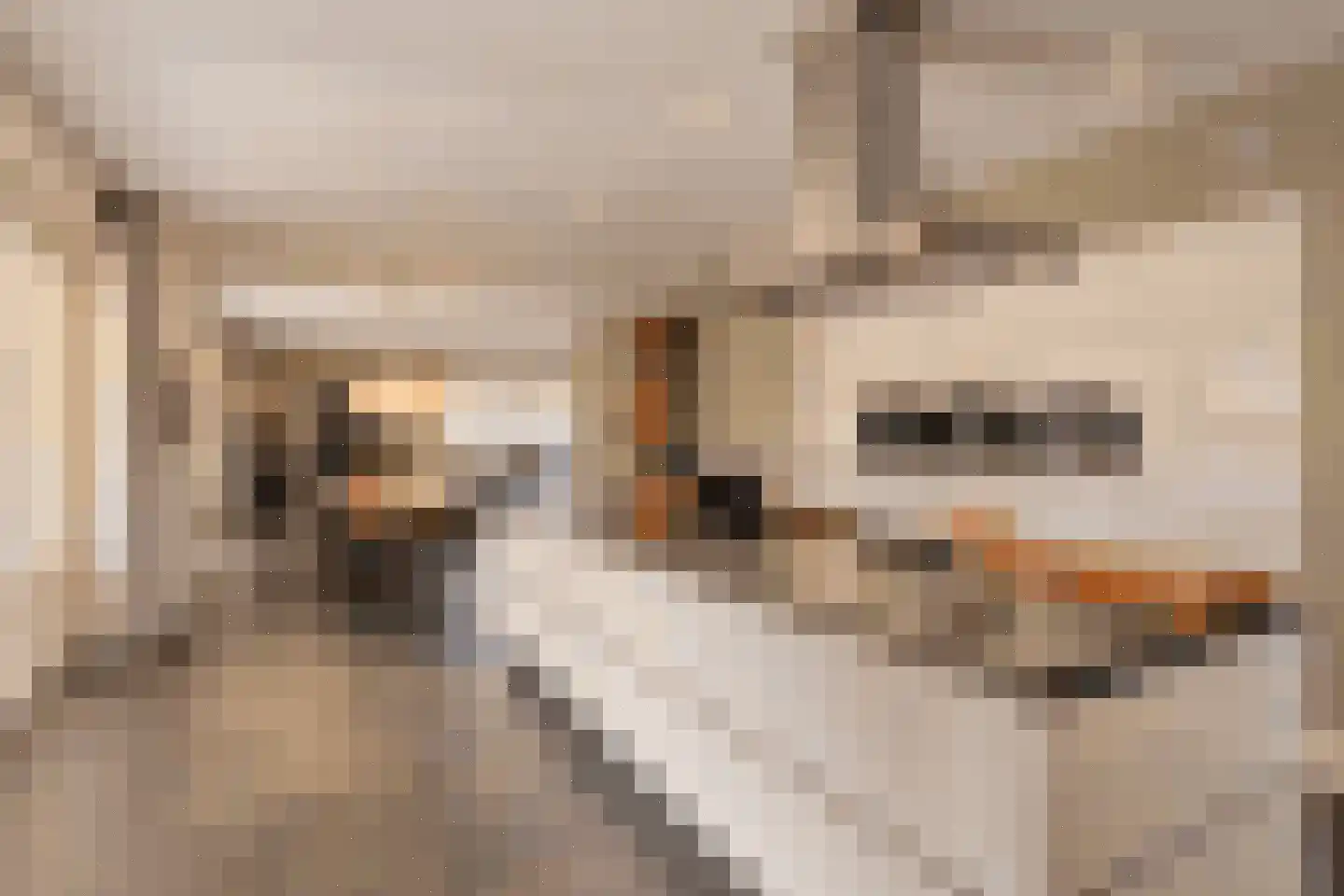 Gildeplein 5 Niftrik thumbnail 21