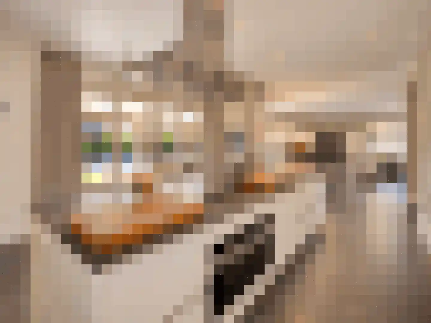 Gildeplein 5 Niftrik thumbnail 22