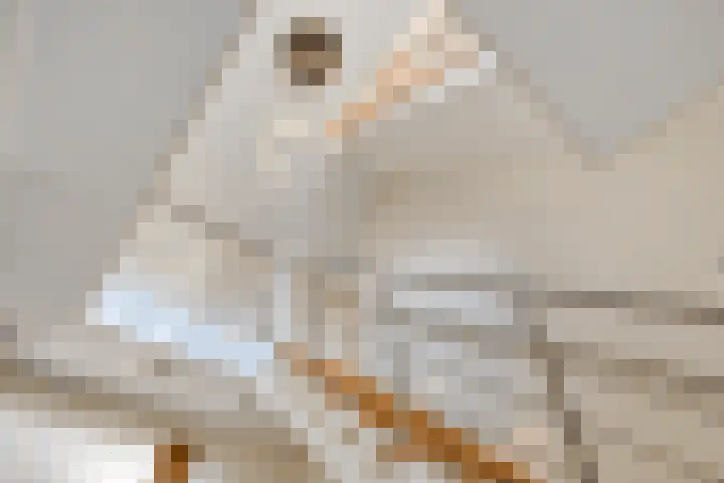 Gildeplein 5 Niftrik thumbnail 4