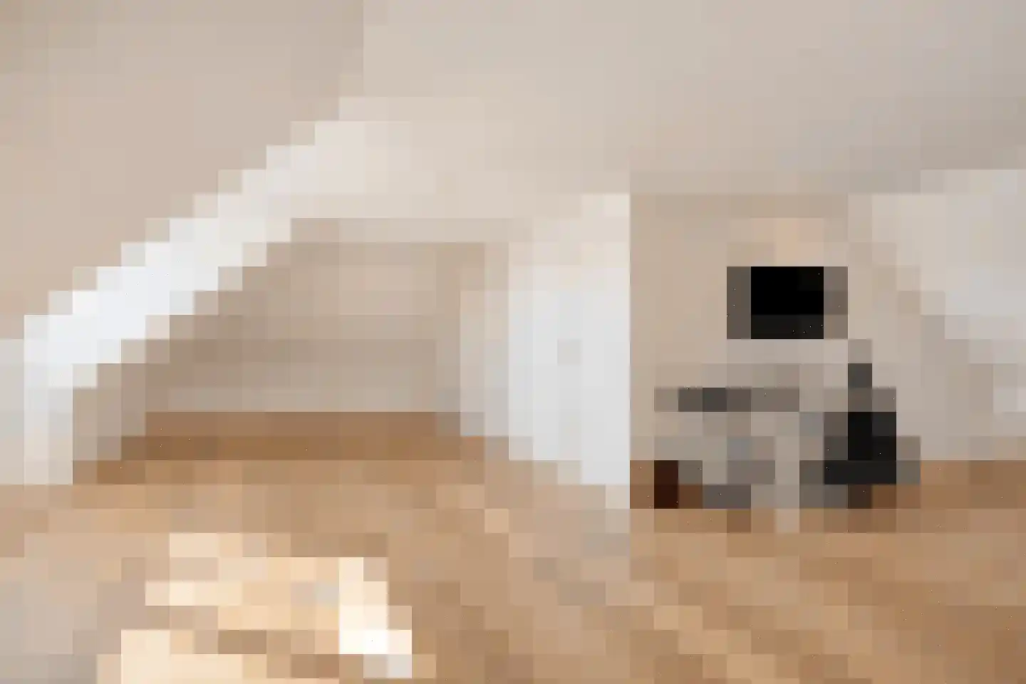 Gildeplein 5 Niftrik thumbnail 68