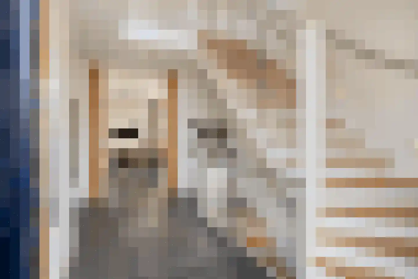 Gildeplein 5 Niftrik thumbnail 9