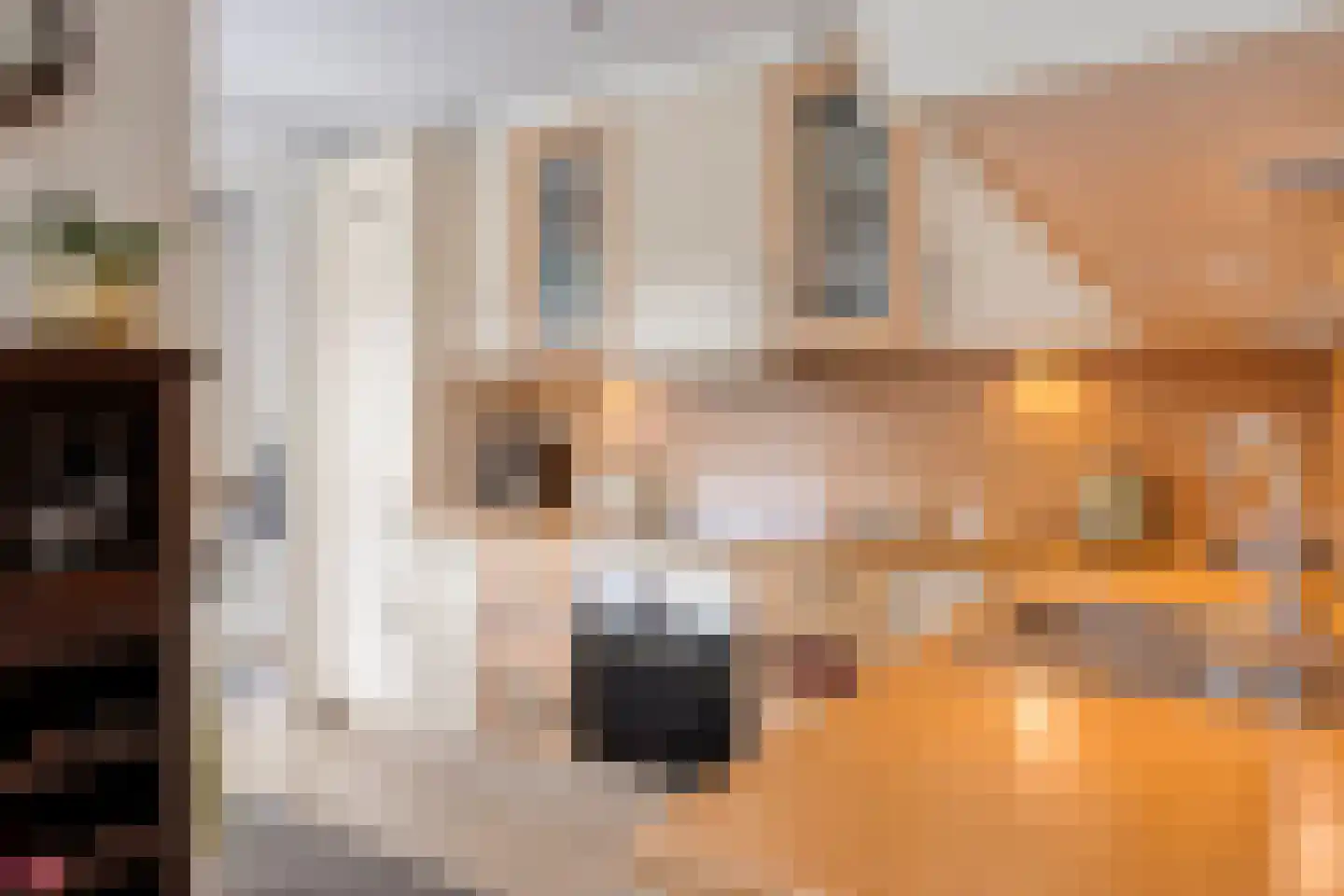 Gildestraat 12 a Sluiskil thumbnail 12
