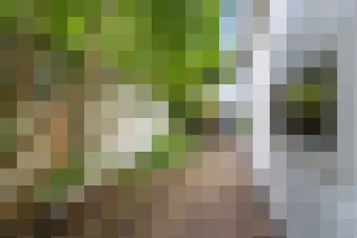 Gildestraat 13 Bussum thumbnail 14