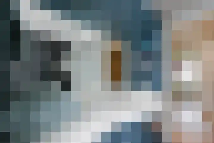 Gildestraat 13 Bussum thumbnail 33