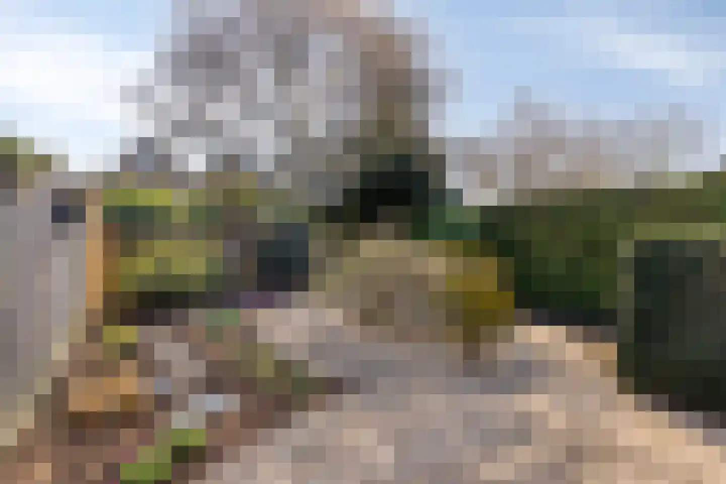 Gildestraat 133 Gendt thumbnail 20