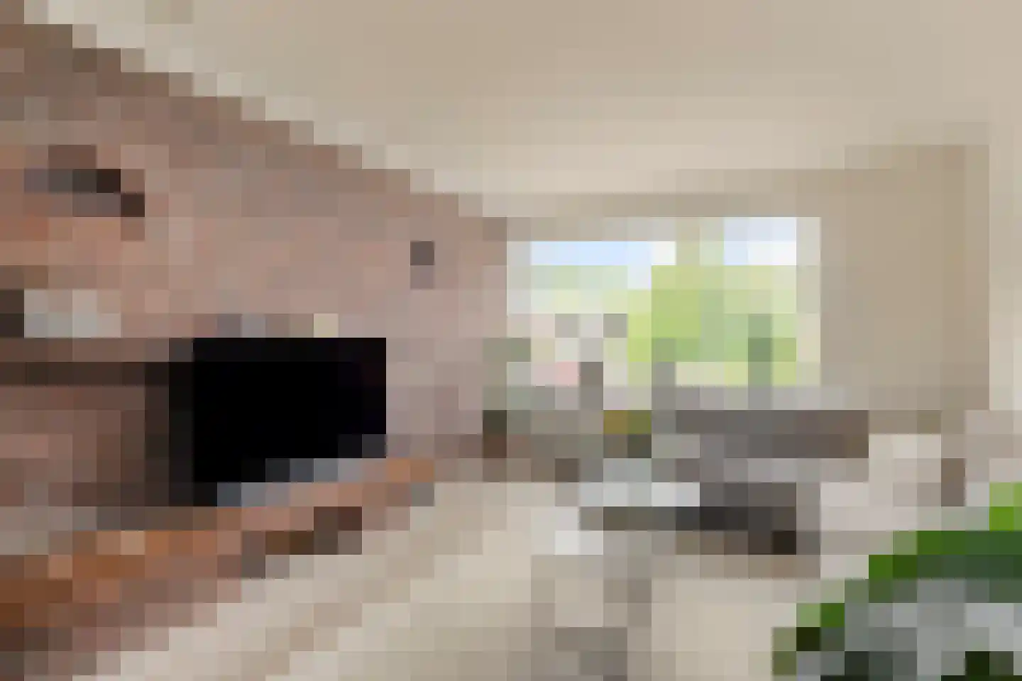 Gildestraat 17 Lobith thumbnail 10