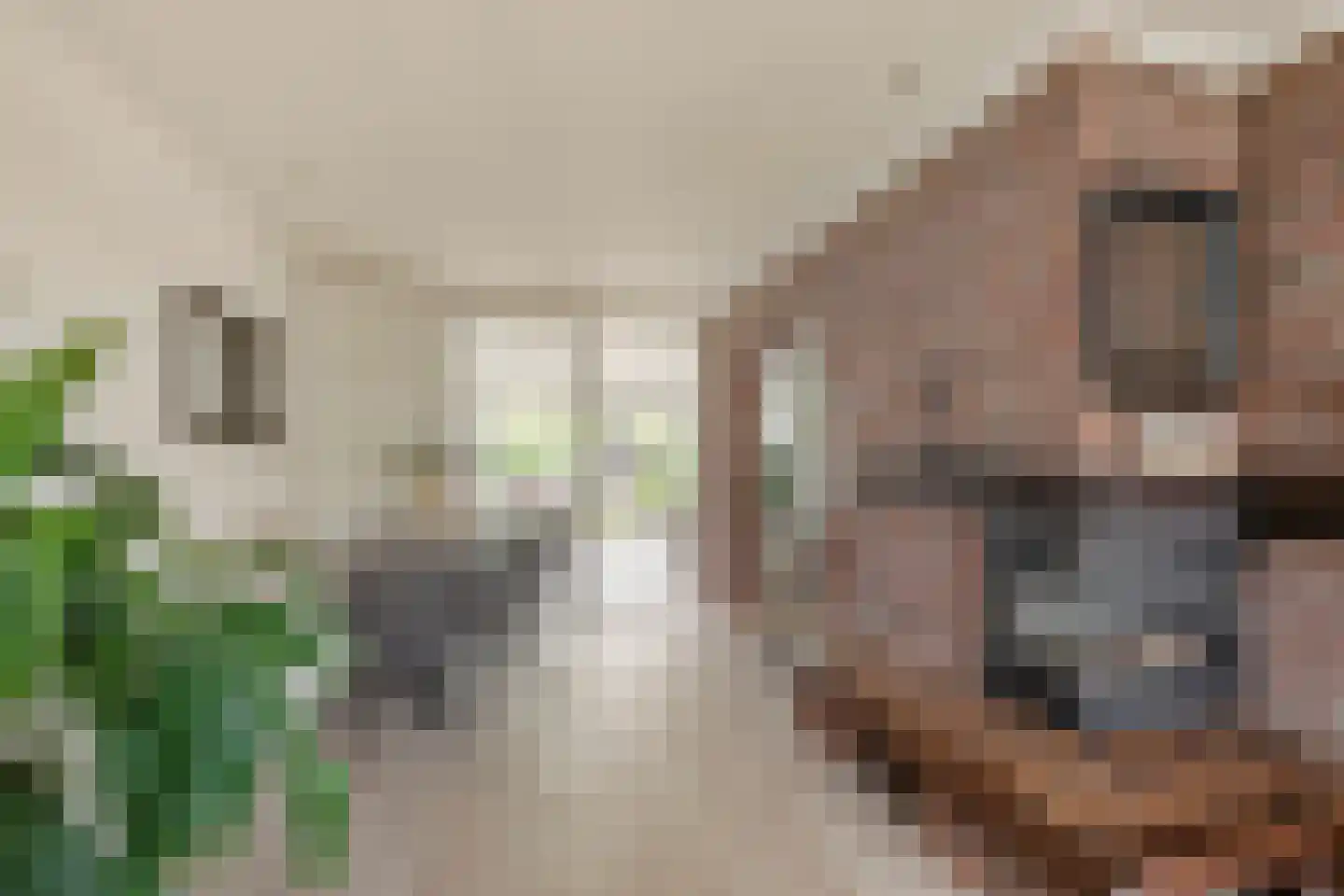 Gildestraat 17 Lobith thumbnail 12
