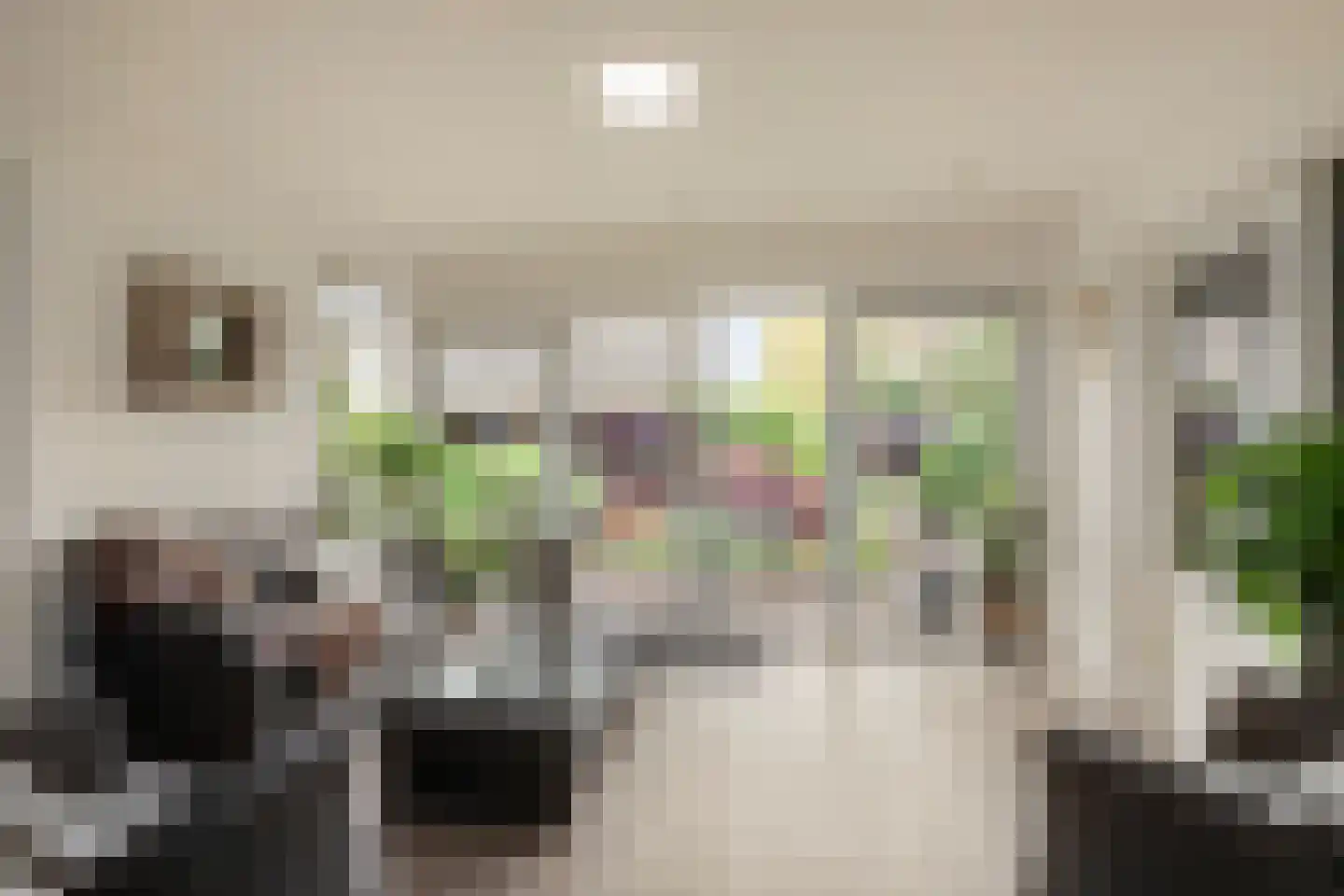 Gildestraat 17 Lobith thumbnail 16