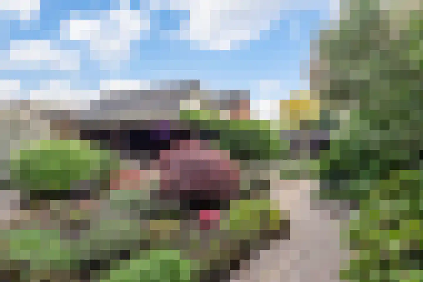 Gildestraat 17 Lobith thumbnail 18