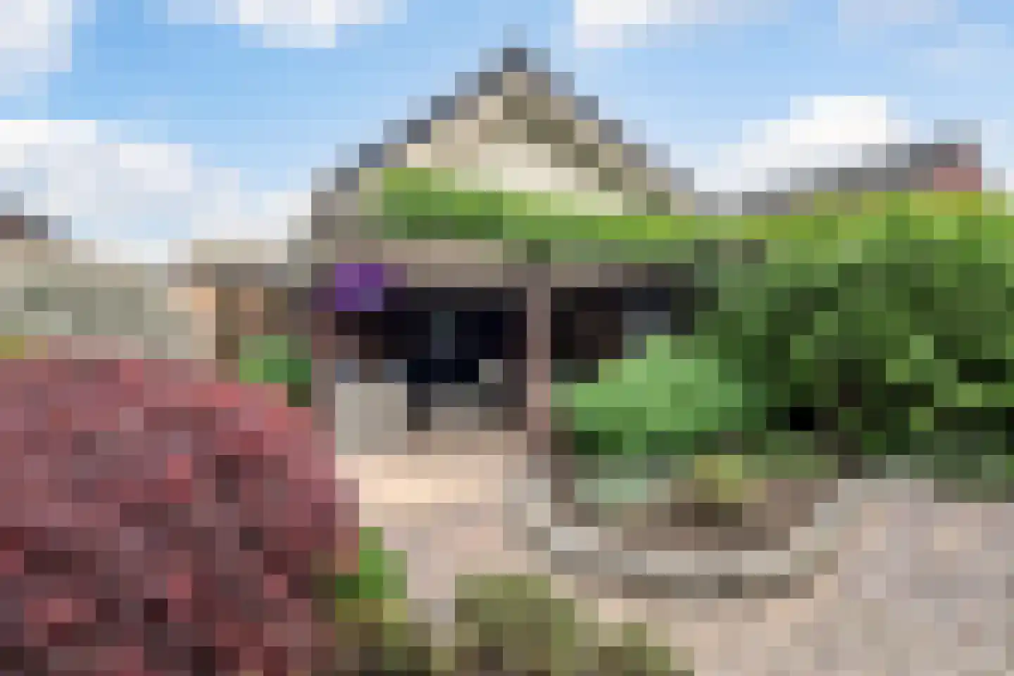 Gildestraat 17 Lobith thumbnail 19