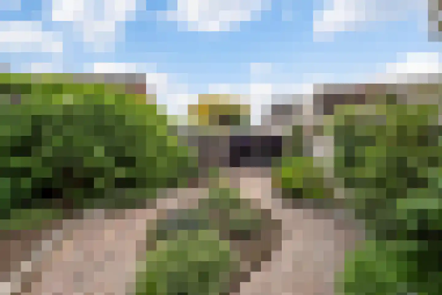 Gildestraat 17 Lobith thumbnail 20