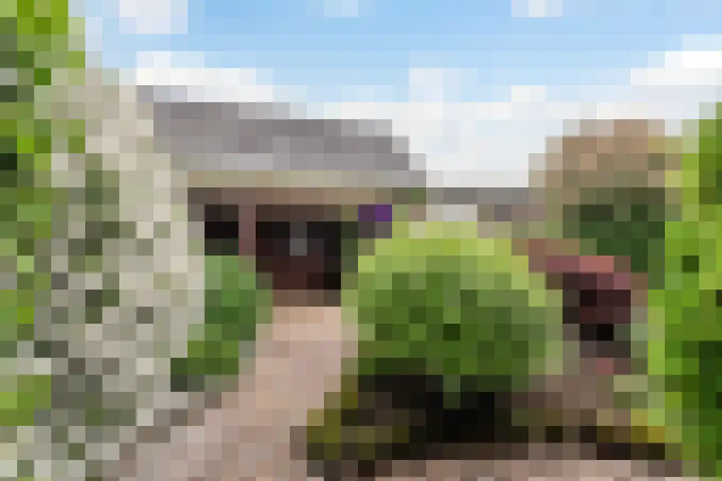 Gildestraat 17 Lobith thumbnail 24