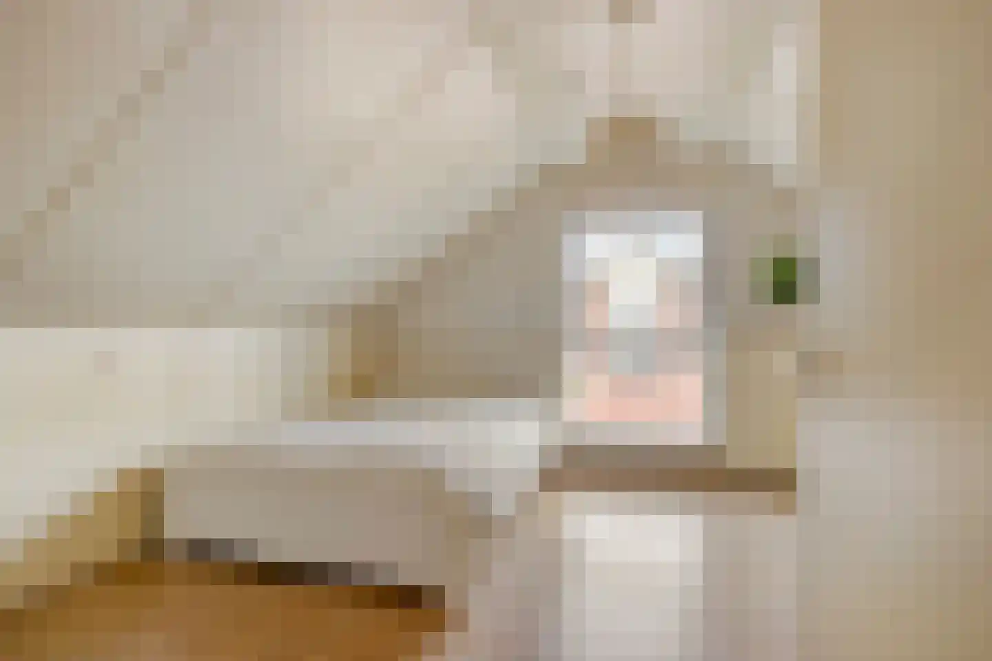 Gildestraat 17 Lobith thumbnail 30