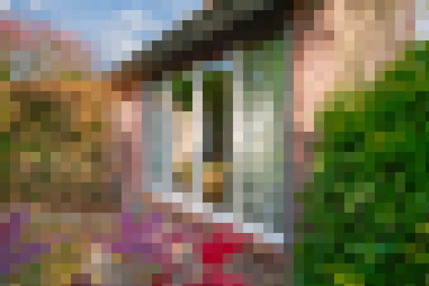 Gildestraat 2 Lobith thumbnail 10