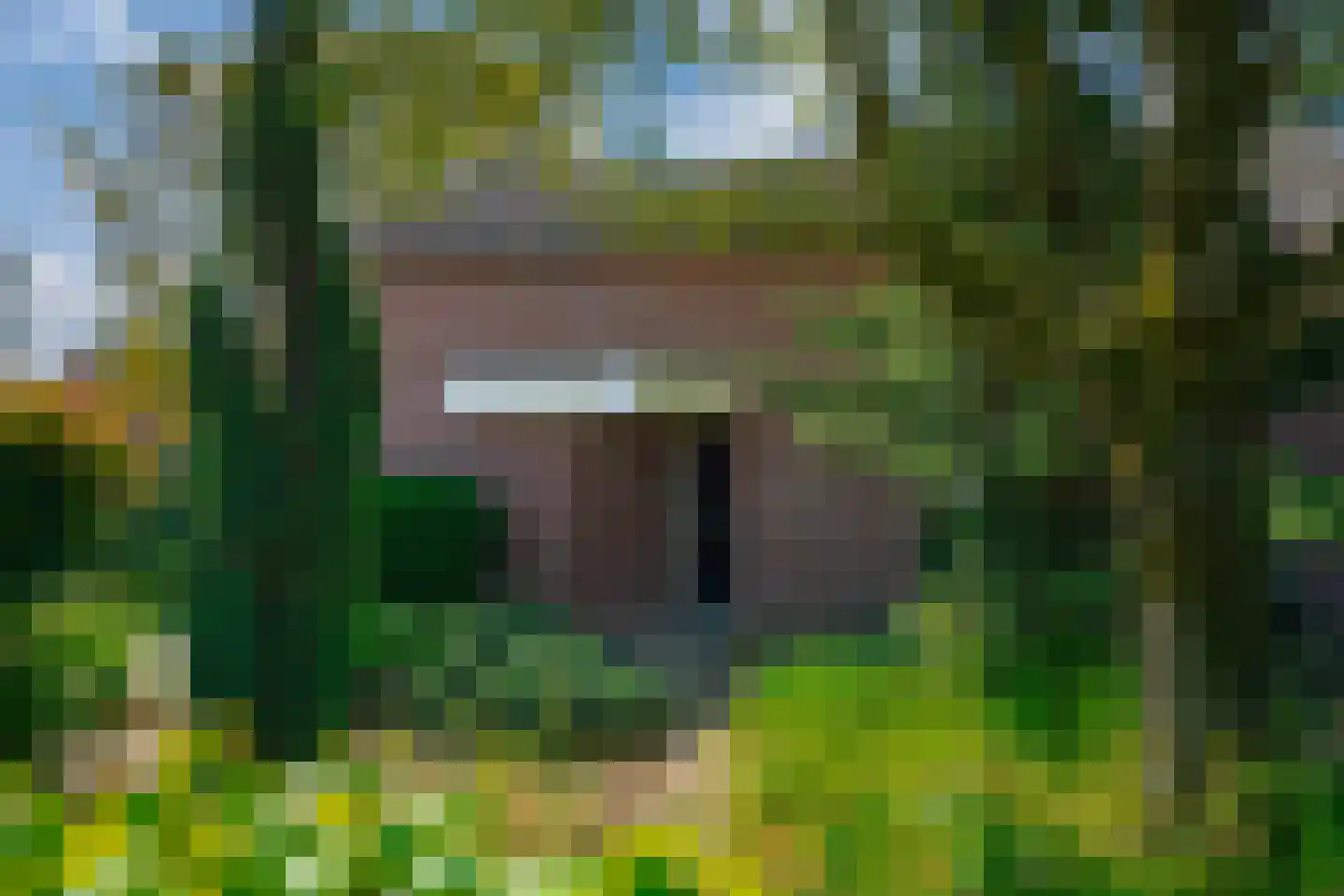 Gildestraat 2 Lobith thumbnail 12