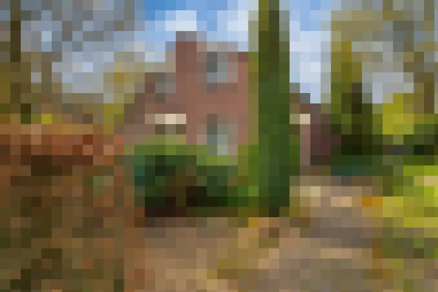 Gildestraat 2 Lobith thumbnail 13