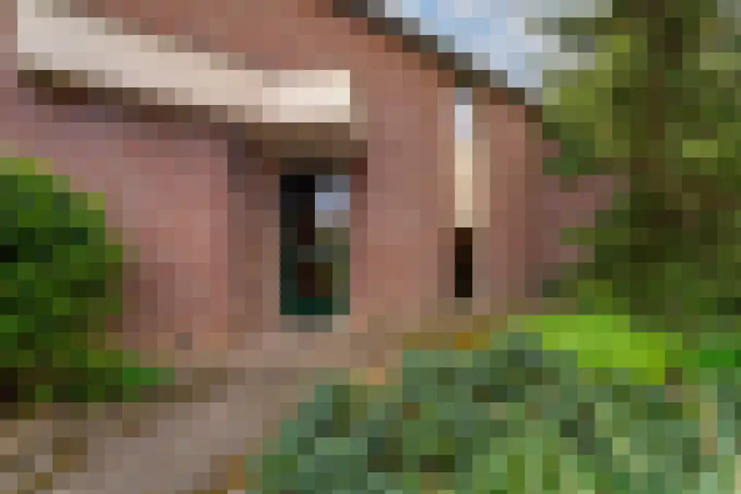 Gildestraat 2 Lobith thumbnail 14