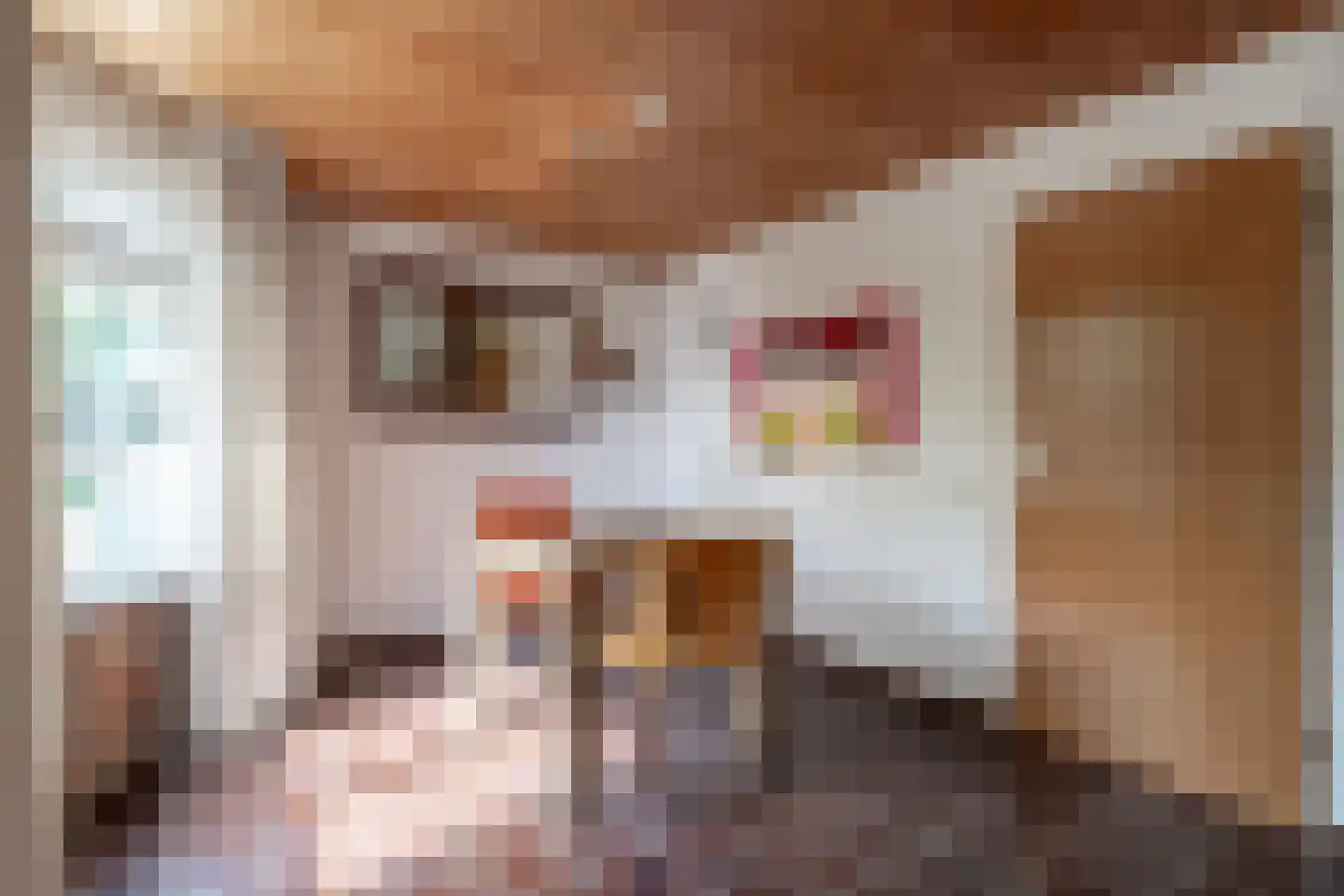 Gildestraat 2 Lobith thumbnail 17