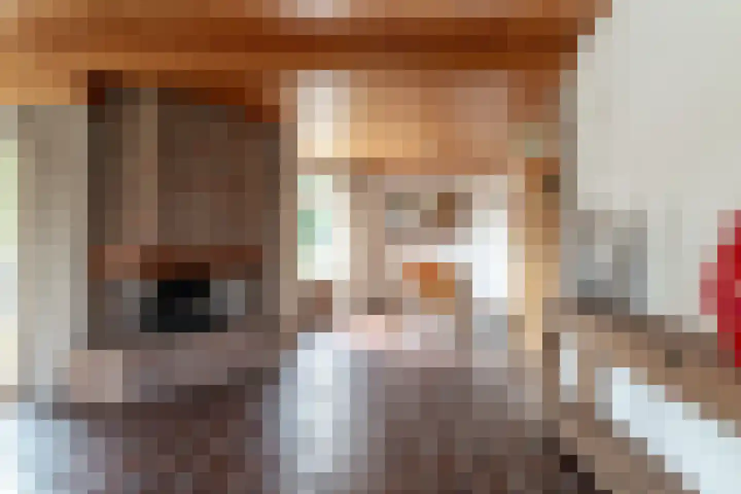 Gildestraat 2 Lobith thumbnail 18