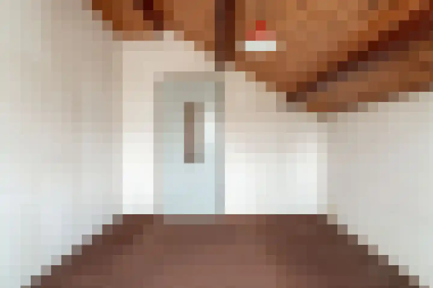 Gildestraat 2 Lobith thumbnail 42