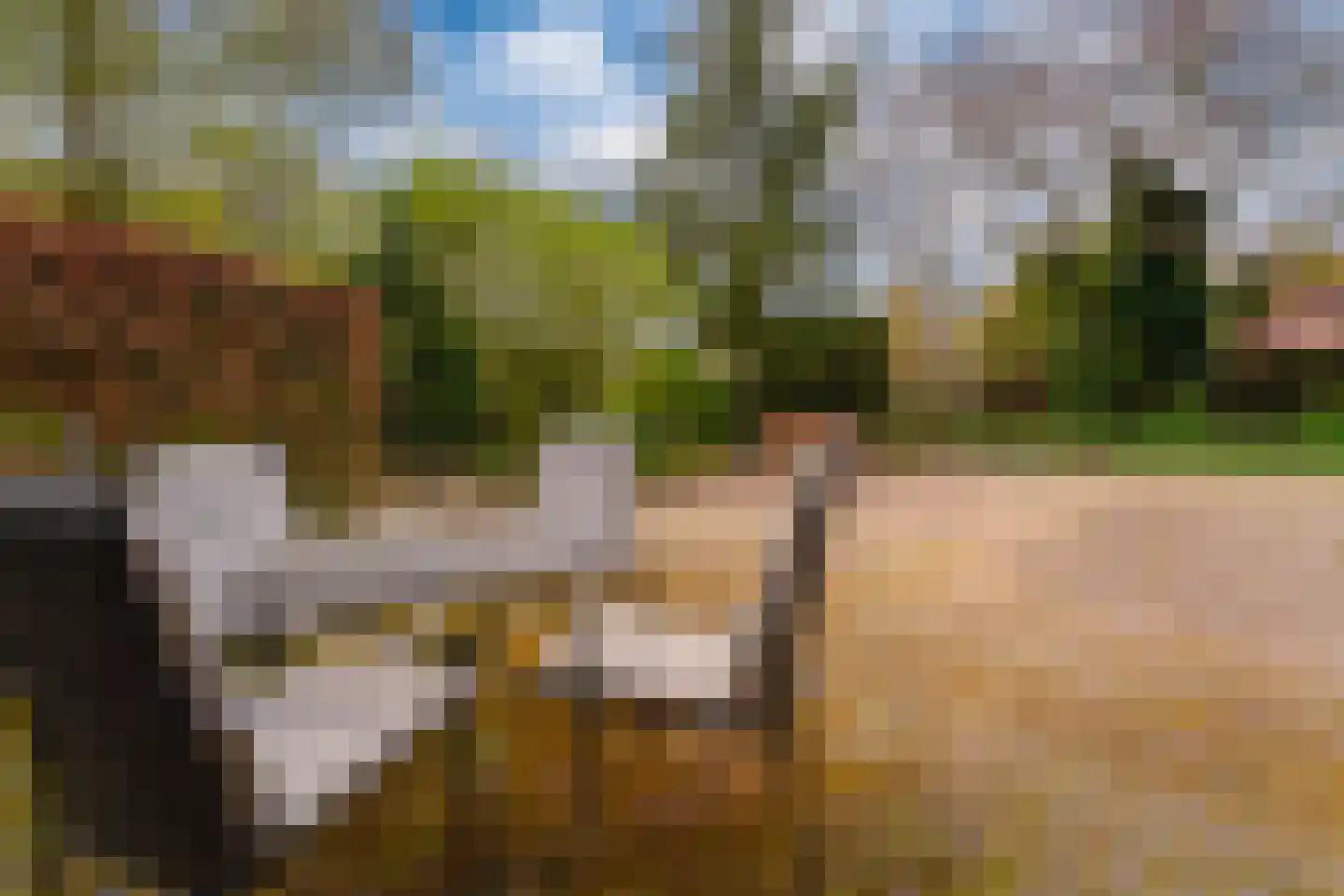 Gildestraat 2 Lobith thumbnail 48