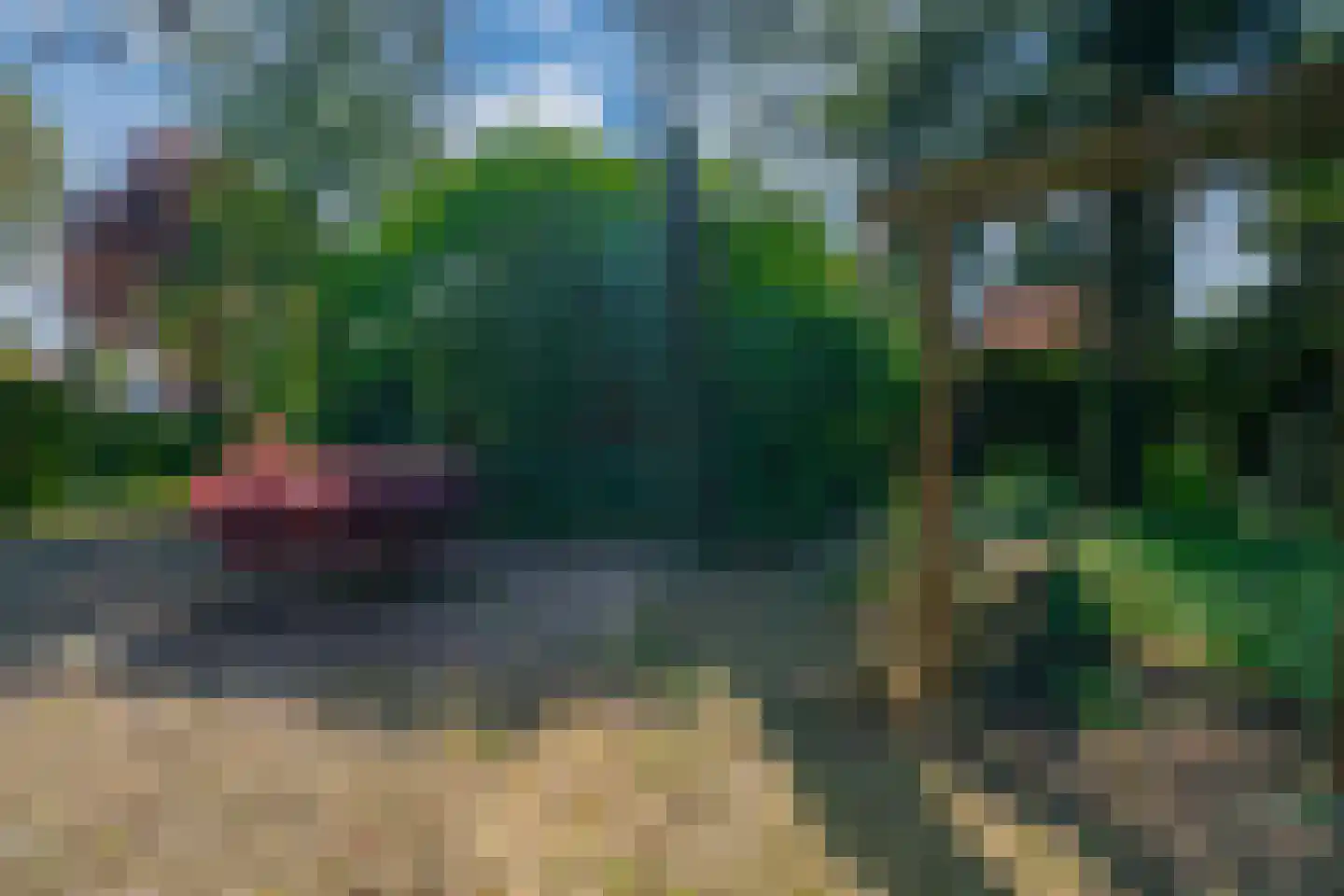 Gildestraat 2 Lobith thumbnail 5